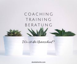 Coaching, Beratung, Training - wo ist der Unterschied?